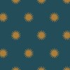 Suns